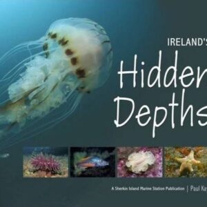 Irelands Hidden Depths 2.jpg